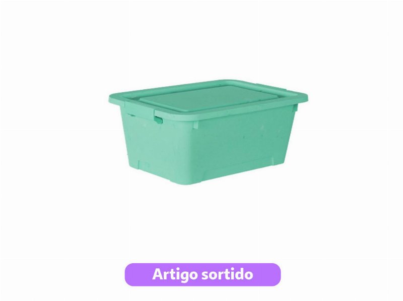 Caixa Com Tampa Fapil 20 l 43X31X23Cm Cores Sortidas