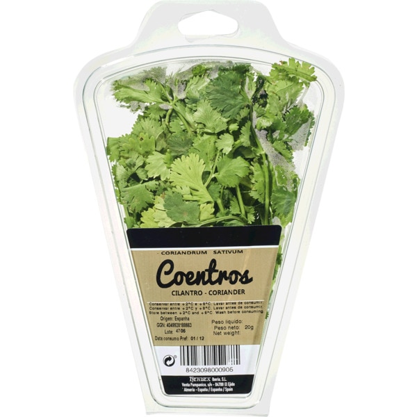 Coentros Frescos 20 g