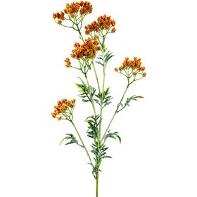 Haste Ramos Flores Laranja Kasa