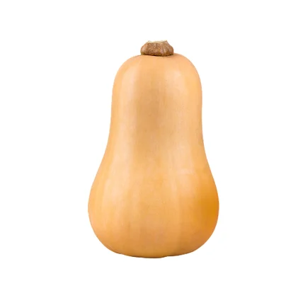 Abóbora Manteiga Nossa Fruta E Legumes 1.42Kg