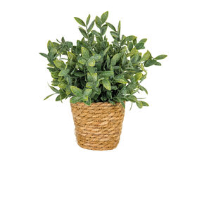Vaso Seagrass Com Planta Artificial Chá Kasa