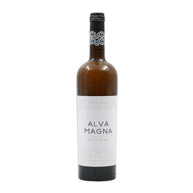 Alva Magna Curtimenta Reserva Dão Vinho Branco