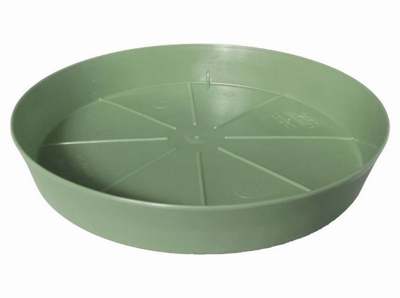 Prato De Plástico Gardenstar Verde Ø17Cm