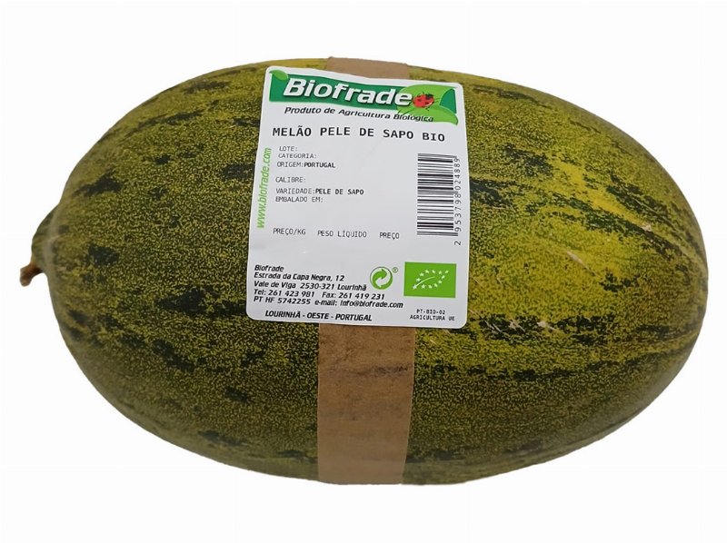 Melão Verde Bio Kg