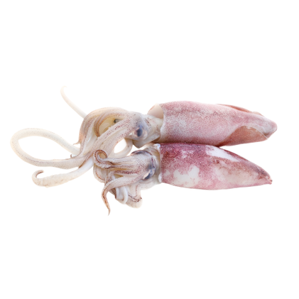 Lulas Frescas Nossa Peixaria 0.2Kg