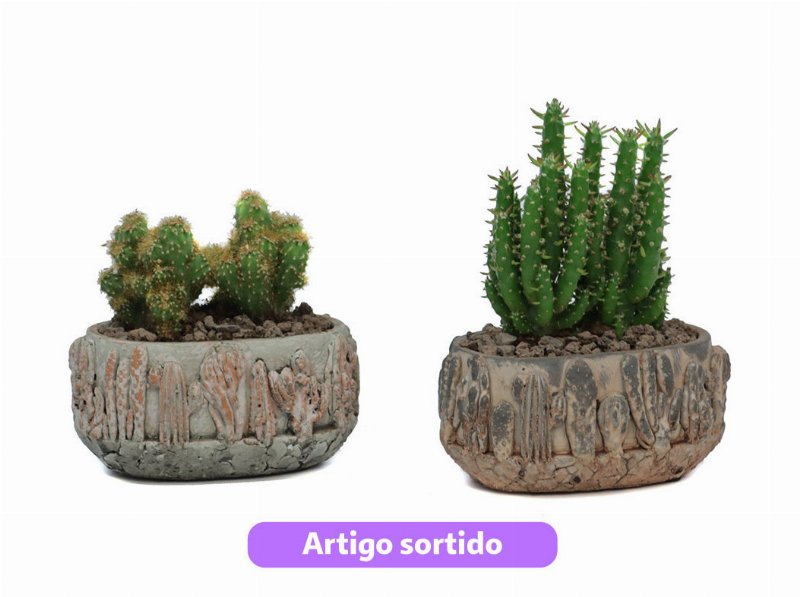 Cacto Com Oferta De Vaso Tacana Vaso 14 Modelos Sortidos