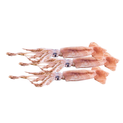Pota Descongelada Nossa Peixaria 0.23Kg