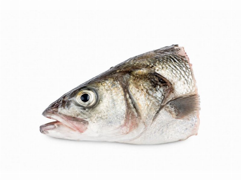 Robalo Mar Cabeça Kg