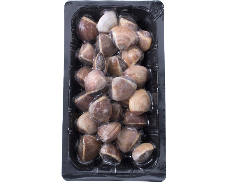 Ameijoa Vietnamita Castanha Grande Ultracongelada 500 g