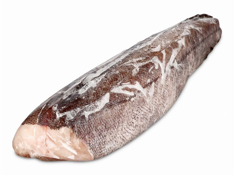Pescada Do Chile Congelada Sem Cabeça 800 g A 1200 g