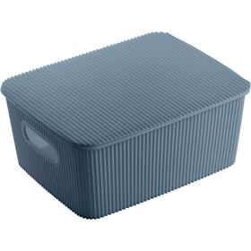 Caixa Arrumação Com Tampa Azul 10 l Kasa