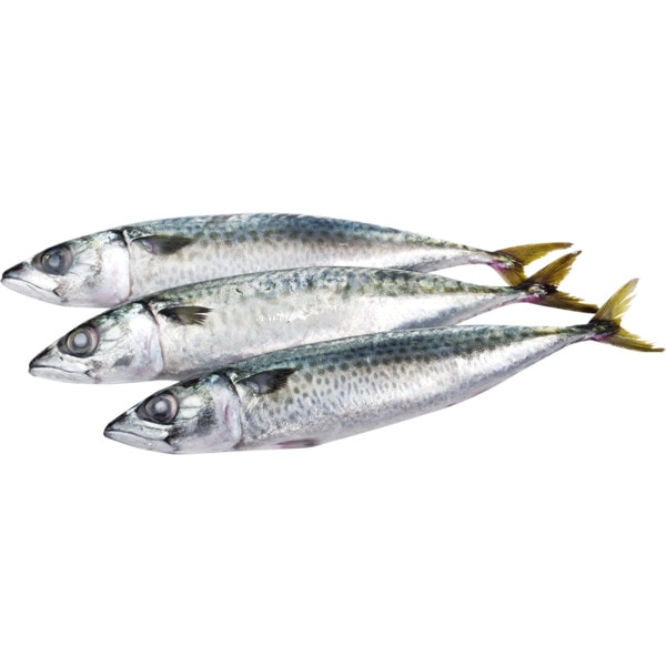 Cavala Inteira Peso Aproximado Por 150 g