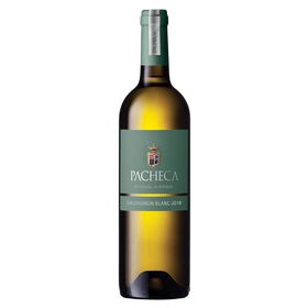 Pacheca Sauvignon Blanc Duriense Vinho Branco