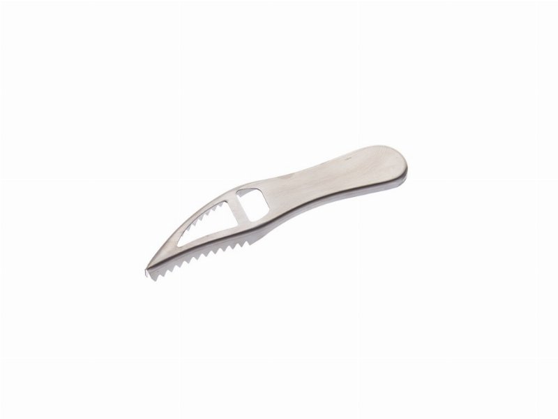 Escamador Peixe Inox 19.2Cm