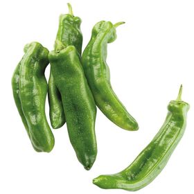 Pimento Doce Italiano Verde Continente