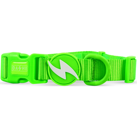Coleira Para Cão Verde Neon L Dashi 1 Un