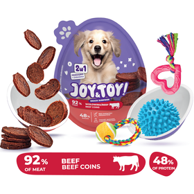 Snack Surpresa Para Cão Bovino Joy&Toy 20 g