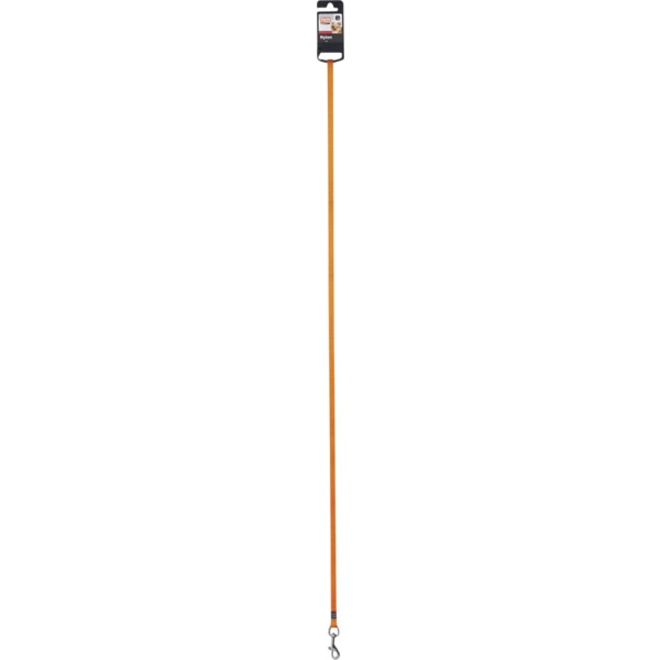 Trela Para Cão Nylon 10 Mm 100 Cm Laranja 1 unidade