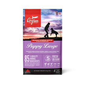 Ração Para Cão Júnior Maxi Orijen 11,4 kg