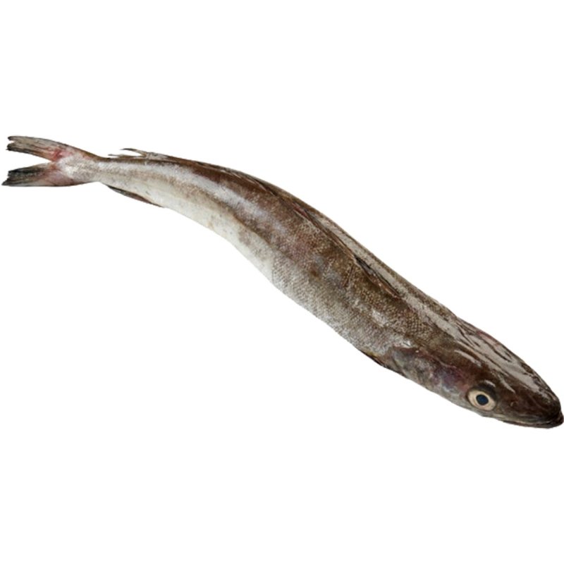Pescada Nacional 2/3 kg