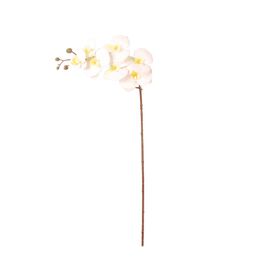 Haste Artificial Orquídeas Brancas Kasa