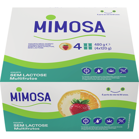 Iogurte Aroma Multifrutos Sem Lactose Mimosa 480 gr (4 Un)