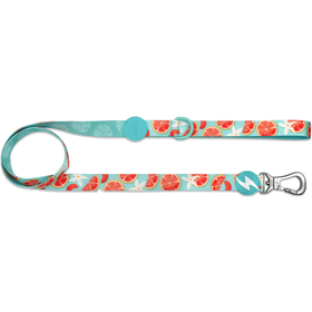 Trela Para Cão Eco Caribe Xs Dashi 1 Un