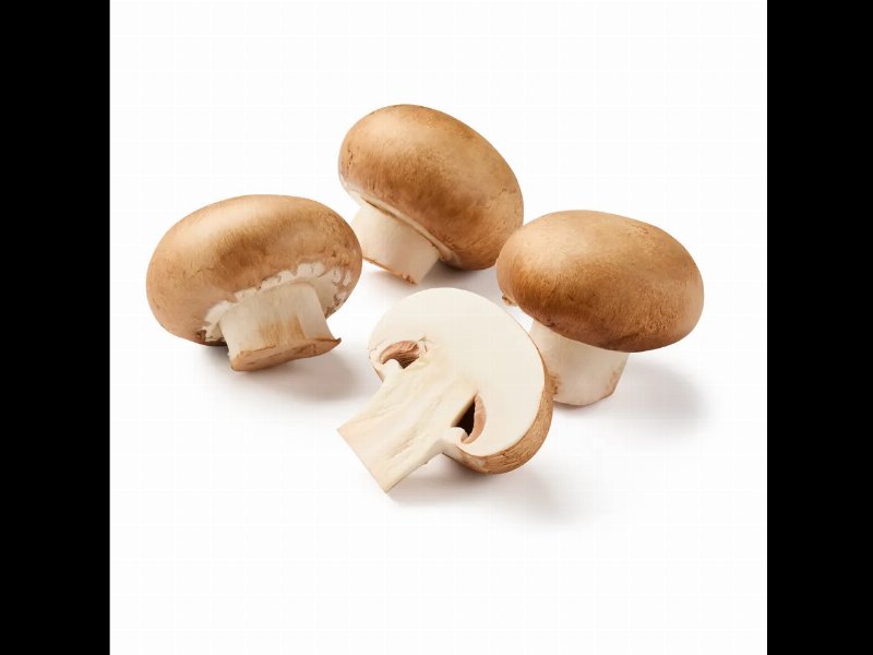Cogumelos Marron