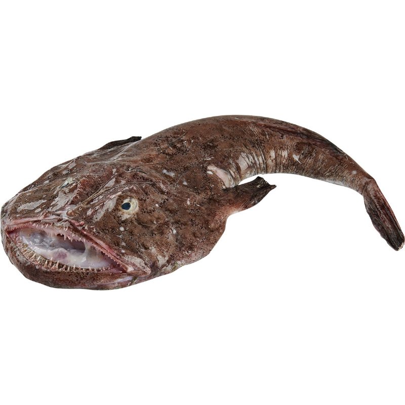 Tamboril 1/3 kg Peso Aproximado Por 2 kg