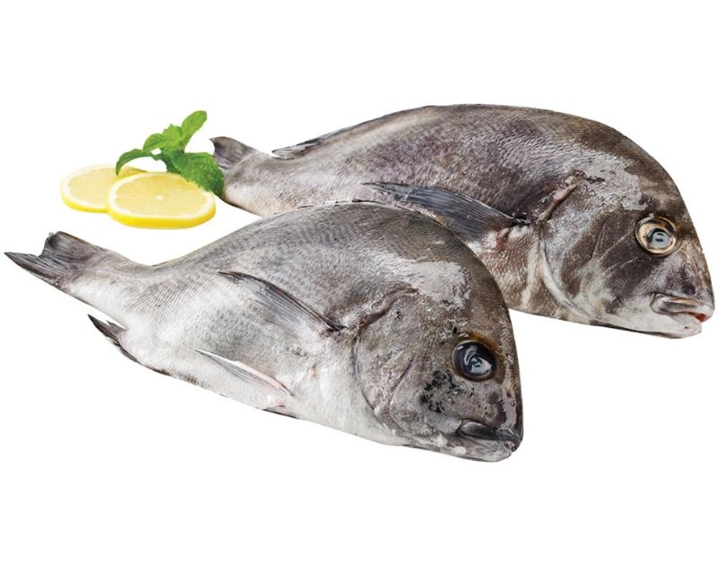 Pargo Mulato Kg