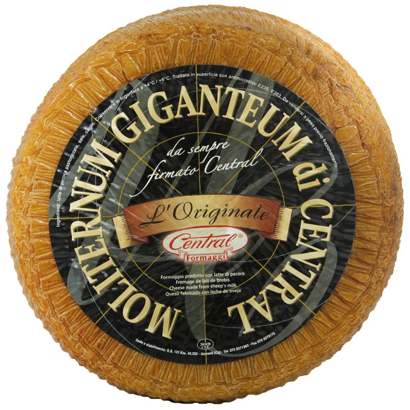 Queijo Pecorino Moliterno 12 Meses De Cura