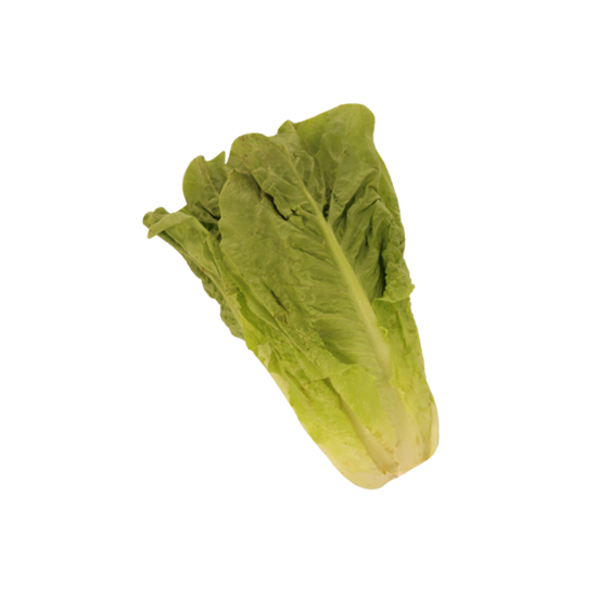 Alface Mini Romana Biológica Embalada Nossa Fruta E Legumes 0.2Kg