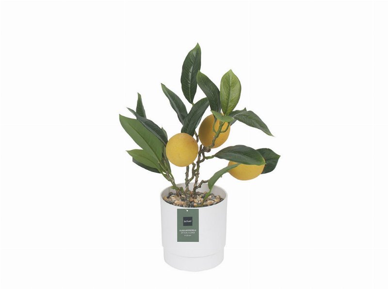 Limoeiro Artificial Actuel Com Vaso Plástico Altura 28Cm