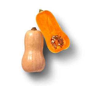 Metade Abóbora Butternut Continente