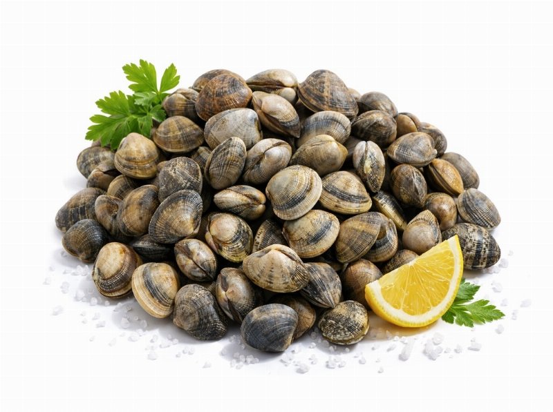 Ameijoa Japonesa Grande Fresca 500 g