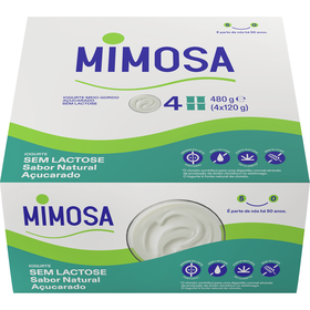 Iogurte Natural Açucarado Sem Lactose Mimosa 480 gr (4 Un)