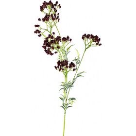 Haste Ramos Flores Rosa Escuro Kasa