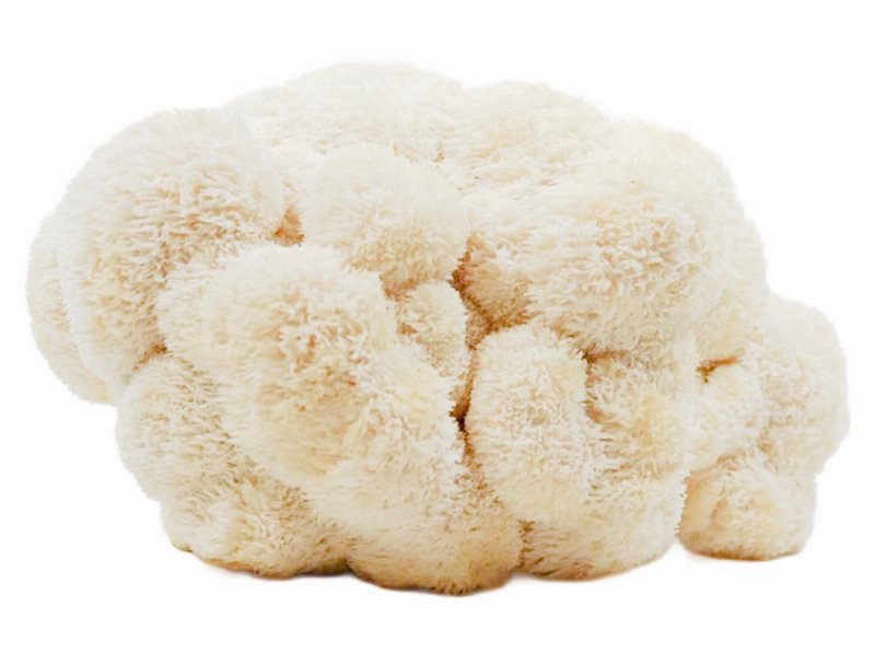 Cogumelo Juba De Leão (L) 200 g