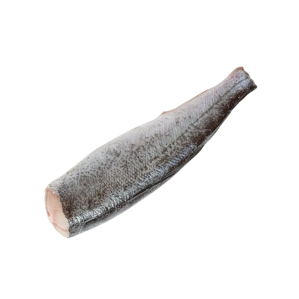 Pescada Média Da África Do Sul A Granel Congelada Nossa Peixaria 0.7Kg