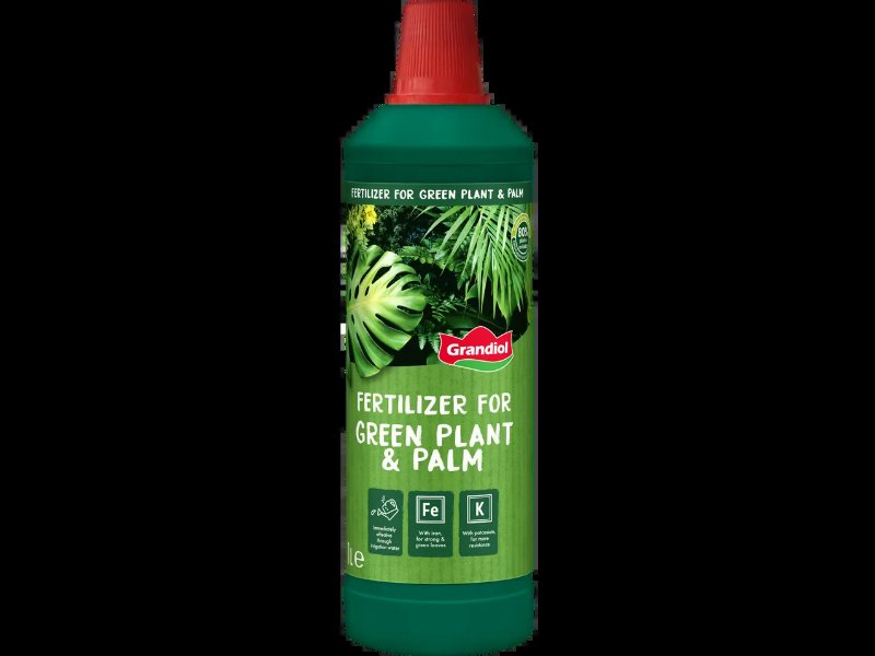 Adubo Plantas Verdes