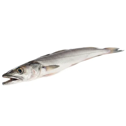 Pescada Fresca Nossa Peixaria 1.2Kg