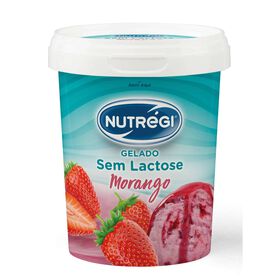 Gelado Morango Sem Lactose Nutrégi 500 ml