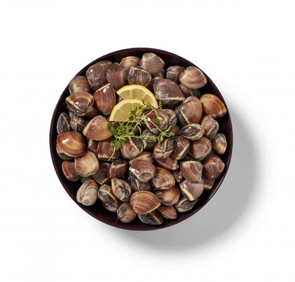 Amêijoa Vietnamita Castanha A Granel Congelada Nossa Peixaria 0.5Kg