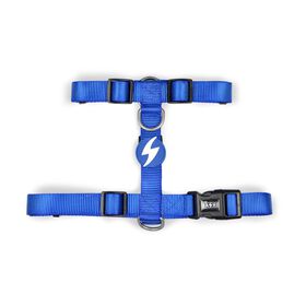 Arnês Para Cão Azul Xs Dashi 1 Un