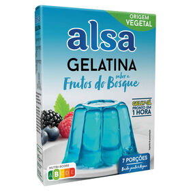 Gelatina Em Pó De Frutos Do Bosque Gelly-Já Alsa 105 gr