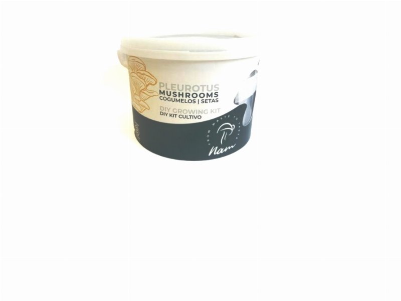 Kit Cultivo Diy Nam (Economia Circular)