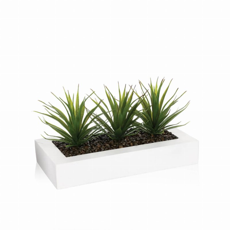 Hkh Centro De Mesa Aloe Vera