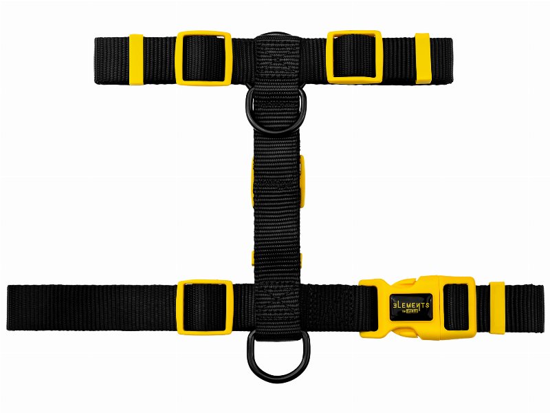 Arnês Para Cão Dashi Elements Black M