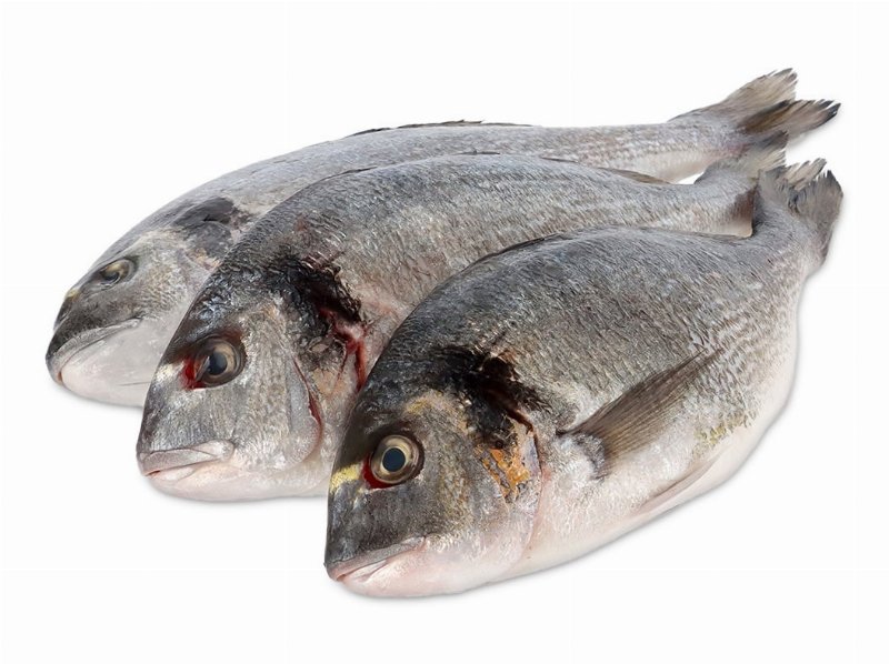 Dourada Fresca Inteira 400/600 kg