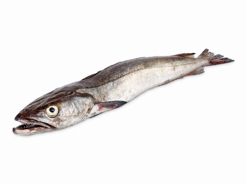 Pescada De Anzol Média Kg
